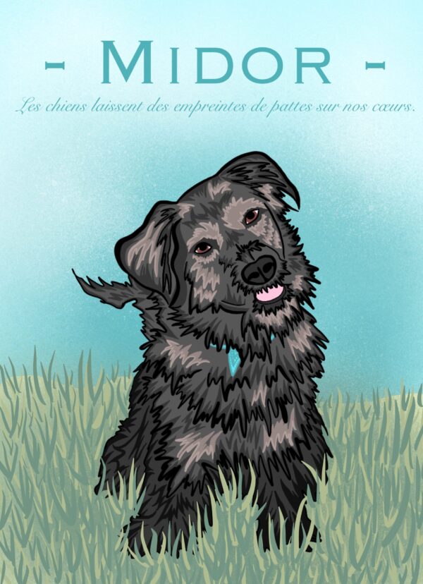 Illustration personnalisée d'animaux